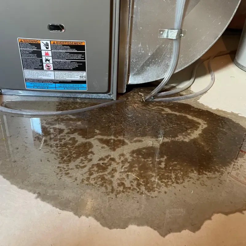 Appliance Leak Cleanup in Hawi, HI