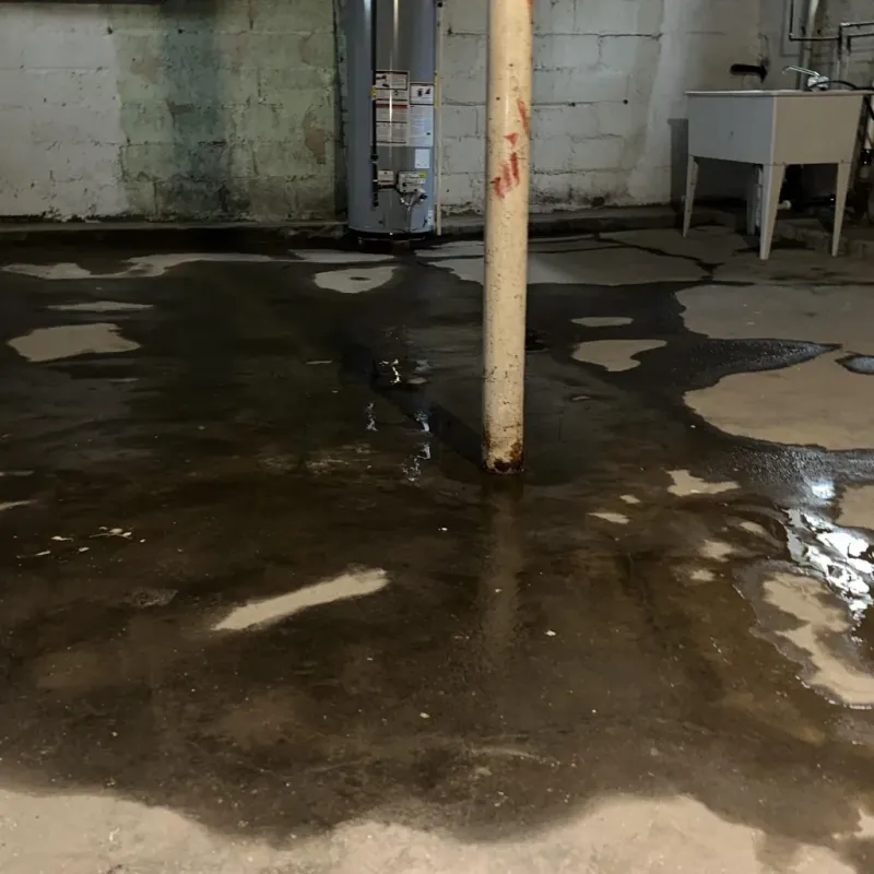 Emergency Water Extraction And Removal in Hawi, HI